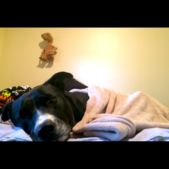 Meet your Posher, Christy - Picture 5 of 6